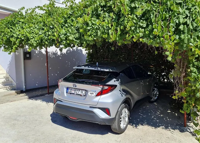 Barbara * טרוגיר